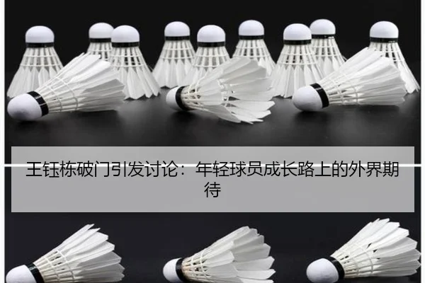 wang-yu-dong-po-men-yin-fa-tao-lun-nian-qing-qiu-yuan-cheng-zhang-lu-shang-de-wai-jie-qi-dai-2-223.jpg